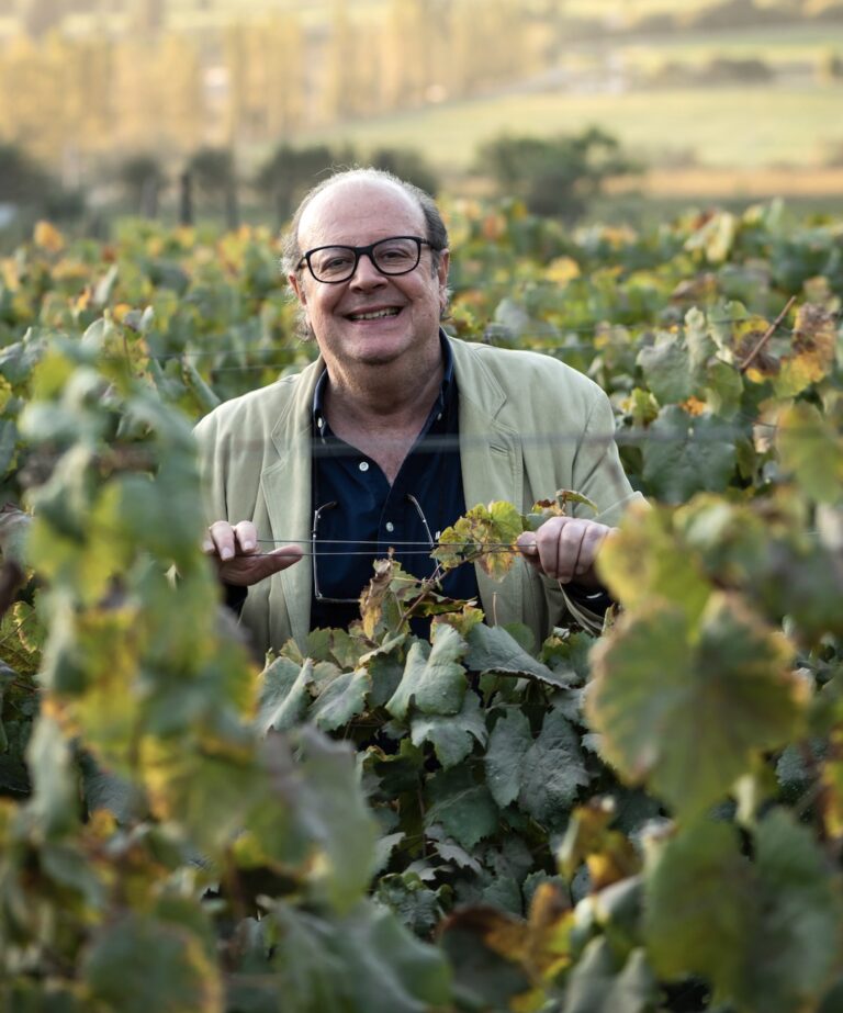 Viña von Siebenthal cumple 25 años inaugurando planta fotovoltaica de