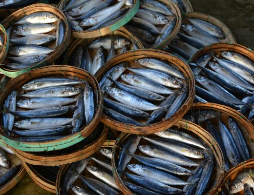 pescados comomegusta.cl