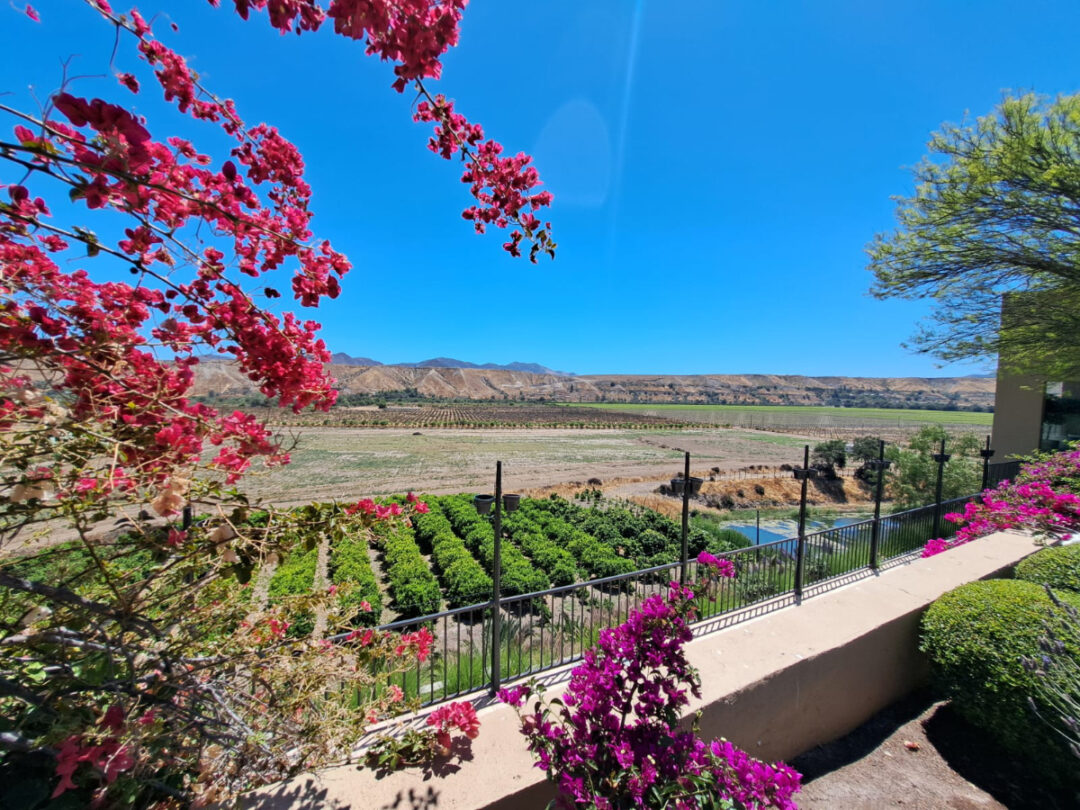 hacienda huatulame