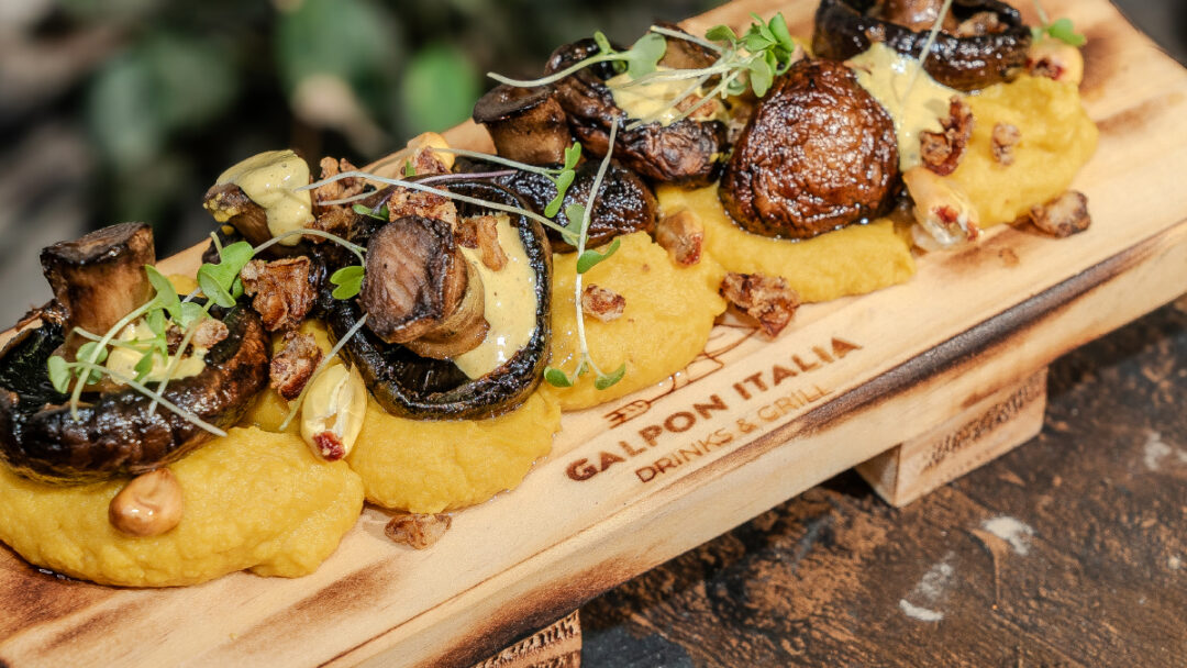 galpon italia