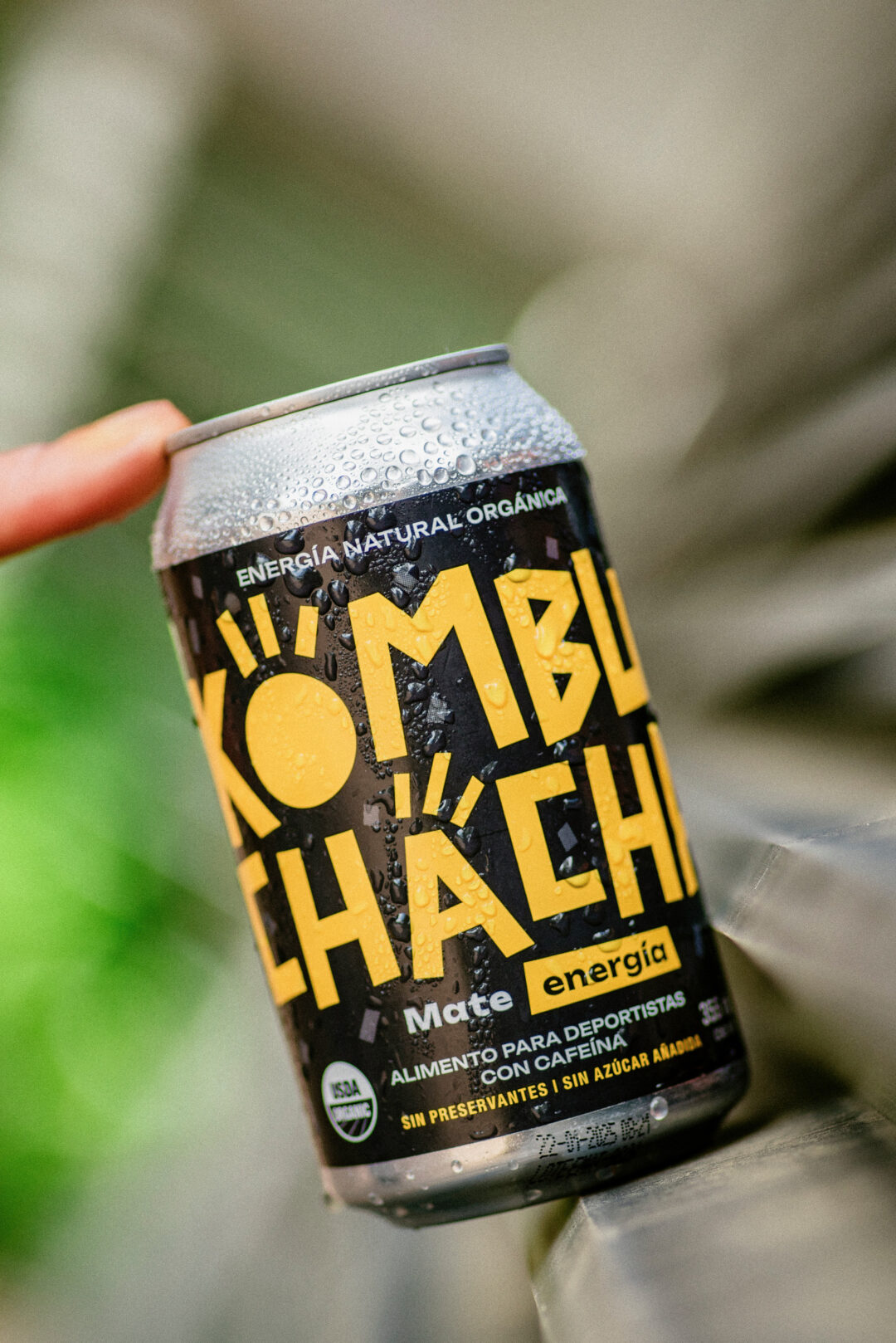 kombucha