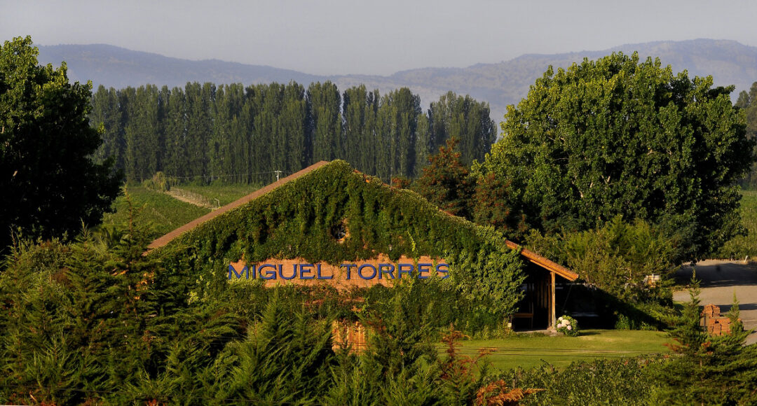 miguel torres chile