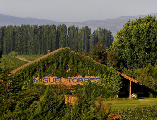miguel torres chile