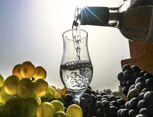 pisco