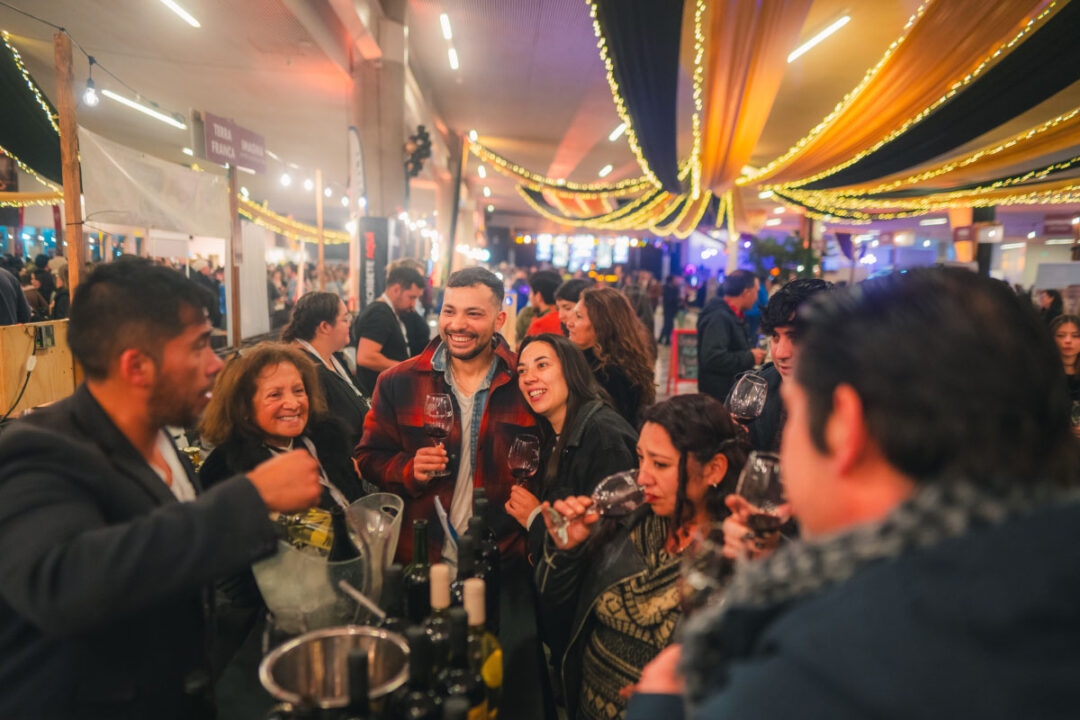 expovino valpo