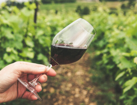 vino