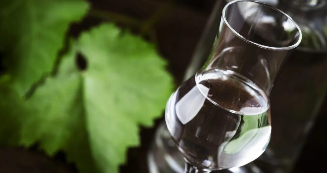 pisco